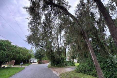 Land in Lady Lake, Florida № 2229308 - photo 24