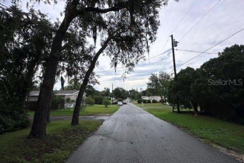 Land in Lady Lake, Florida № 2229308 - photo 23