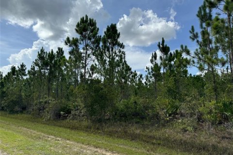 Land in Indian lake estates, Florida № 2165411 - photo 3