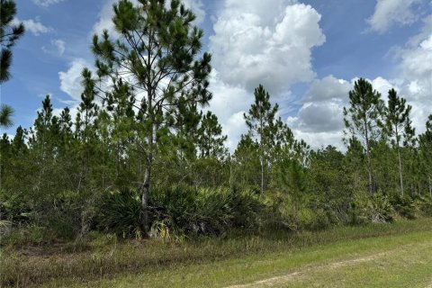Land in Indian lake estates, Florida № 2165411 - photo 2