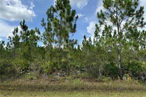 Land in Indian lake estates, Florida № 2165411