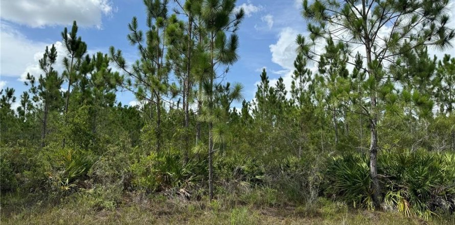 Land in Indian lake estates, Florida № 2165411