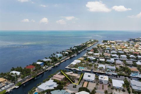 House in Key Largo, Florida 4 bedrooms, 390.56 sq.m. № 1923634 - photo 1