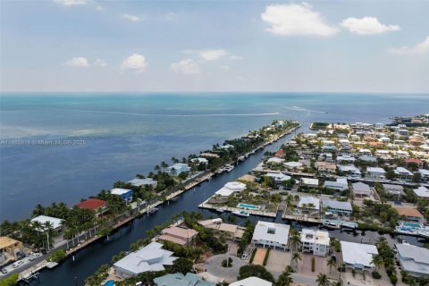 House in Key Largo, Florida 4 bedrooms, 390.56 sq.m. № 1923634 - photo 7