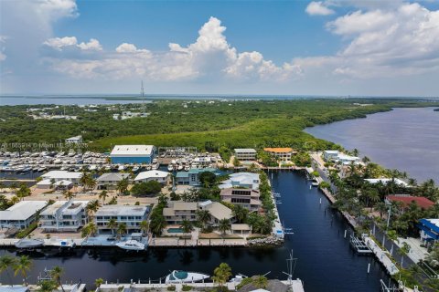 House in Key Largo, Florida 4 bedrooms, 390.56 sq.m. № 1923634 - photo 9