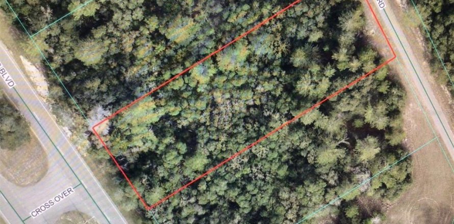 Terrain à Ocala, Floride № 2115298
