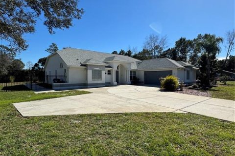 Villa ou maison à Weeki Wachee, Floride 3 chambres, 231.33 m2 № 2334079