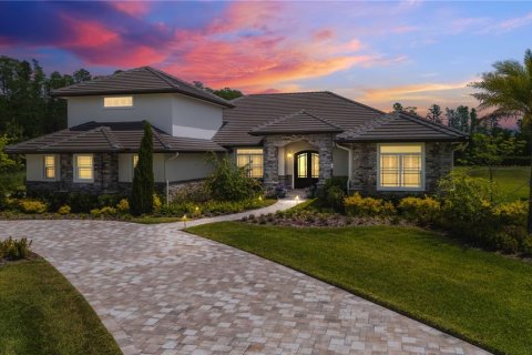 Villa ou maison à vendre à Odessa, Floride: 5 chambres, 418.8 m2 № 1654107 - photo 1