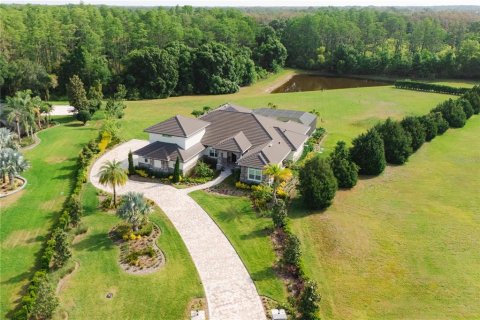 Villa ou maison à vendre à Odessa, Floride: 5 chambres, 418.8 m2 № 1654107 - photo 3