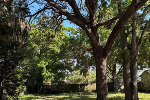 Terreno en venta en Saint Petersburg, Florida № 1593480 - foto 1