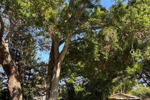 Terreno en venta en Saint Petersburg, Florida № 1593480 - foto 2