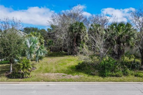 Terreno en venta en Palm Coast, Florida № 1719217 - foto 2