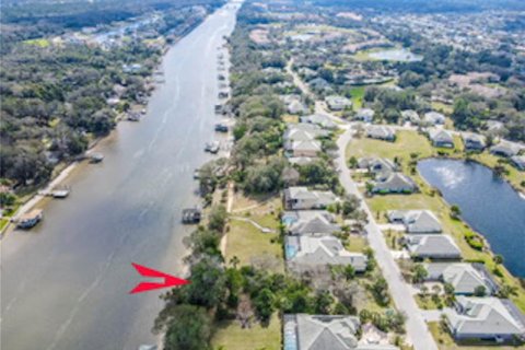Terreno en venta en Palm Coast, Florida № 1719217 - foto 15