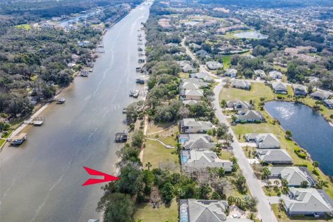 Terreno en venta en Palm Coast, Florida № 1719217 - foto 11