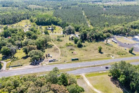 Land in Hampton, Florida № 1801400 - photo 12