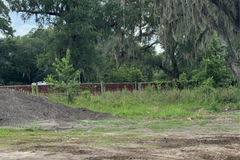Land in Hampton, Florida № 1801400 - photo 4