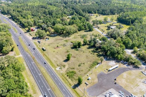 Land in Hampton, Florida № 1801400 - photo 5