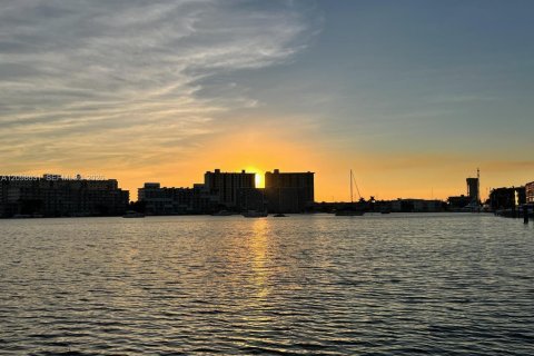 Condo in Hallandale Beach, Florida, 1 bedroom  № 2399676 - photo 7