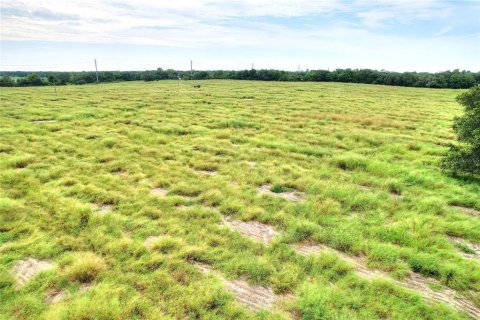 Land in Haines City, Florida № 2378371 - photo 6