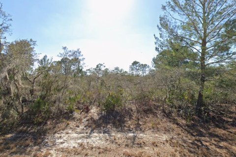 Propiedad comercial en Lake Placid, Florida № 2158301