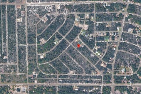 Propiedad comercial en venta en Lake Placid, Florida № 2158301 - foto 3