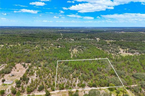Land in Bronson, Florida № 2344653
