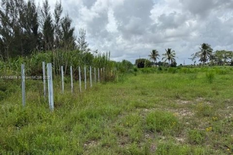 Propiedad comercial en venta en Miami-Dade, Florida № 1842479 - foto 8