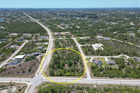 Land in Port Charlotte, Florida № 1635147 - photo 3