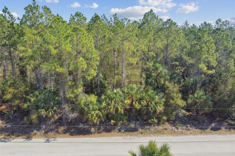 Land in Bunnell, Florida № 1519174 - photo 18