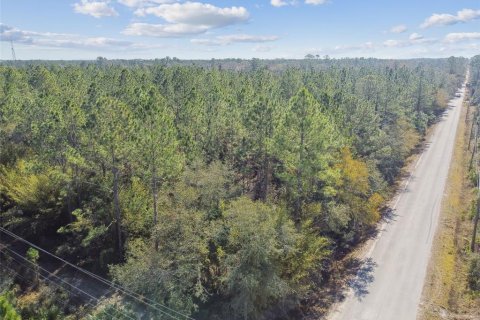 Land in Bunnell, Florida № 1519174 - photo 19