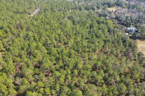 Land in Bunnell, Florida № 1519174 - photo 9