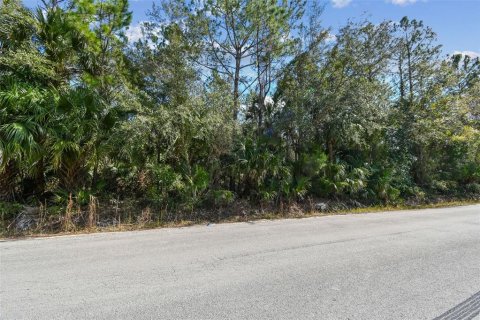 Land in Bunnell, Florida № 1519174 - photo 23