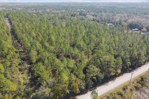 Land in Bunnell, Florida № 1519174 - photo 6