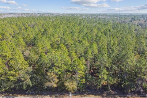 Land in Bunnell, Florida № 1519174 - photo 15