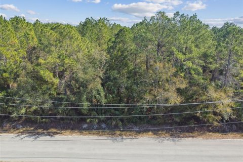 Land in Bunnell, Florida № 1519174 - photo 17