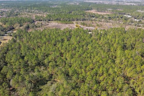 Land in Bunnell, Florida № 1519174 - photo 11