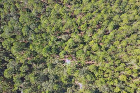 Land in Bunnell, Florida № 1519174 - photo 13