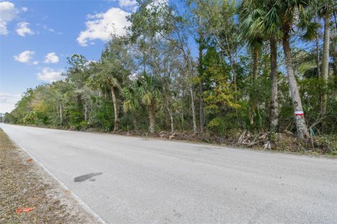 Land in Bunnell, Florida № 1519174 - photo 29