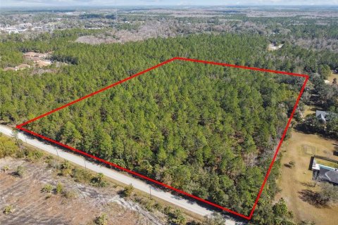 Land in Bunnell, Florida № 1519174 - photo 1