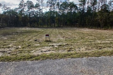 Land in Dunnellon, Florida № 2162741 - photo 3