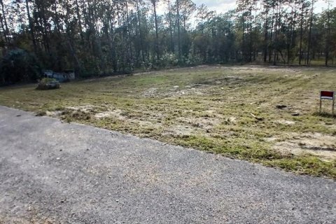 Land in Dunnellon, Florida № 2162741 - photo 4