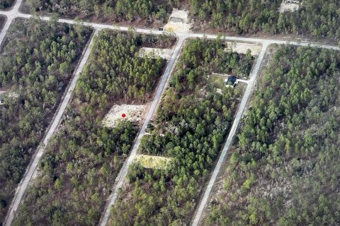Land in Dunnellon, Florida № 2162741