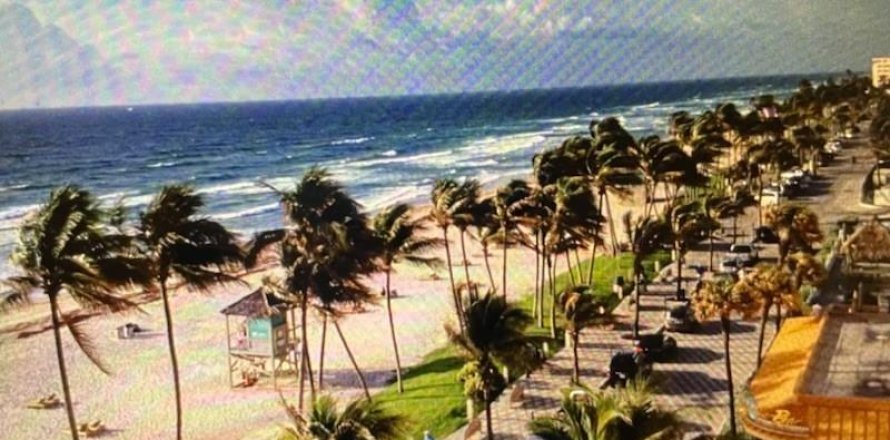 Condo in Deerfield Beach, Florida, 1 bedroom  № 1186548