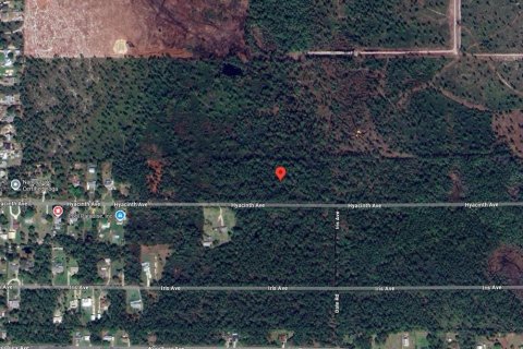 Terrain à Sebring, Floride № 2228679