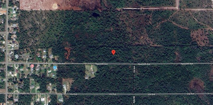 Terrain à Sebring, Floride № 2228679