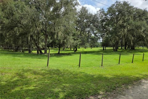 Terrain à Bushnell, Floride № 2287220