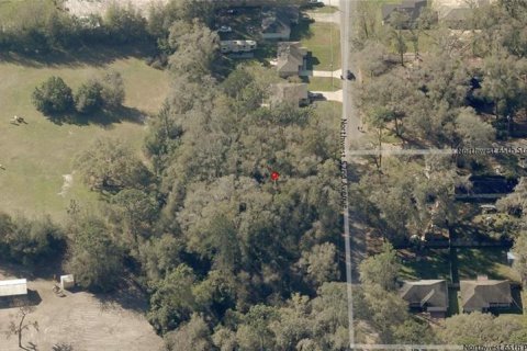 Land in Ocala, Florida № 2164265 - photo 4