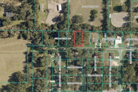 Land in Ocala, Florida № 2164265 - photo 2