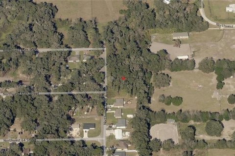 Land in Ocala, Florida № 2164265 - photo 6
