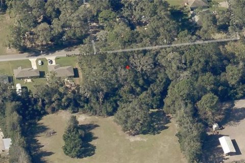 Land in Ocala, Florida № 2164265 - photo 5